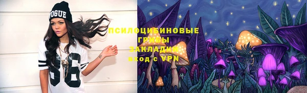 МДМА Медвежьегорск