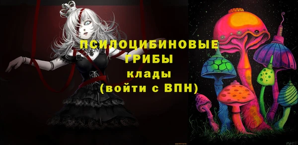 spice Мегион